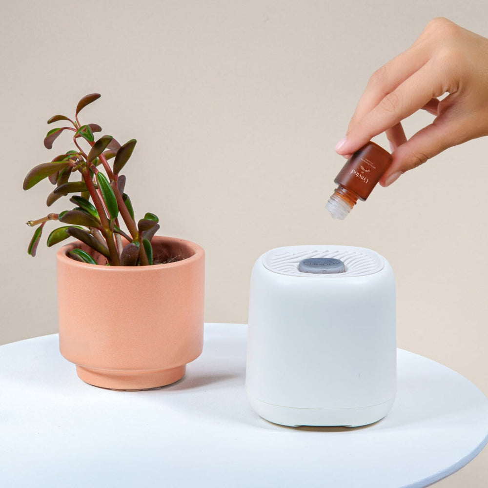 Aroma Stone 3-Pack being used with a white humidifier device, showing a hand adding essential oil drops onto the device's surface on a wooden floor, demonstrating the aromatherapy application process