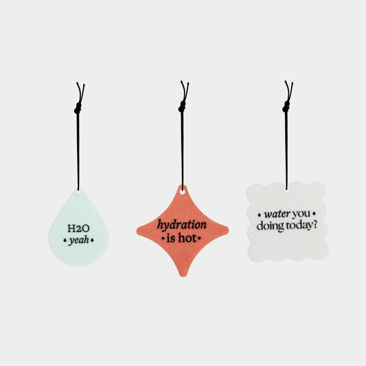 3 different diffusers with funny sayings 'H2O Yeah', 'Hydration is hot', and 'Water you doing today'