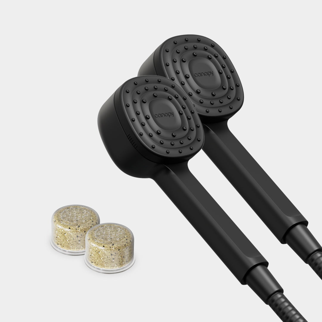 Handheld Showerhead Duo