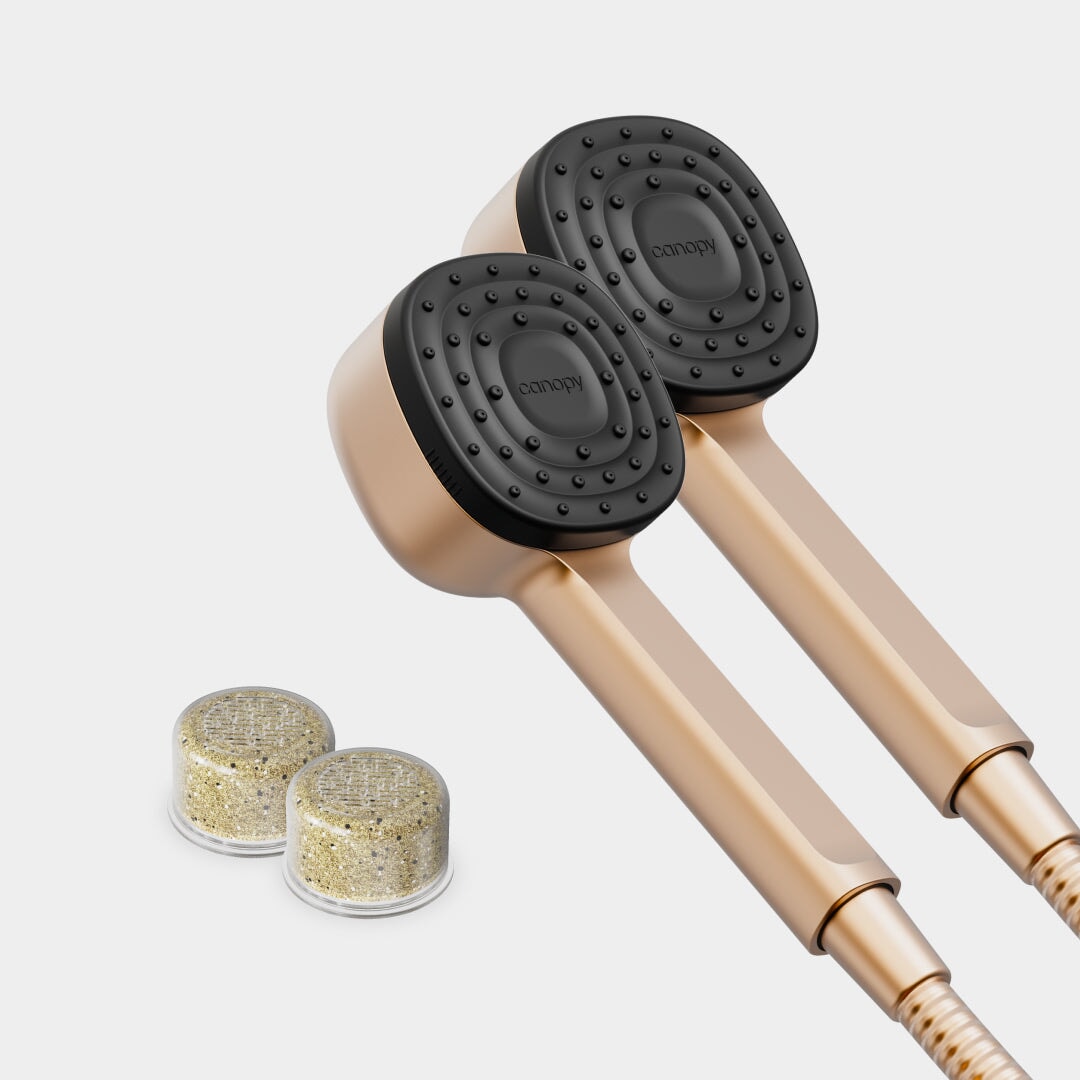 Handheld Showerhead Duo
