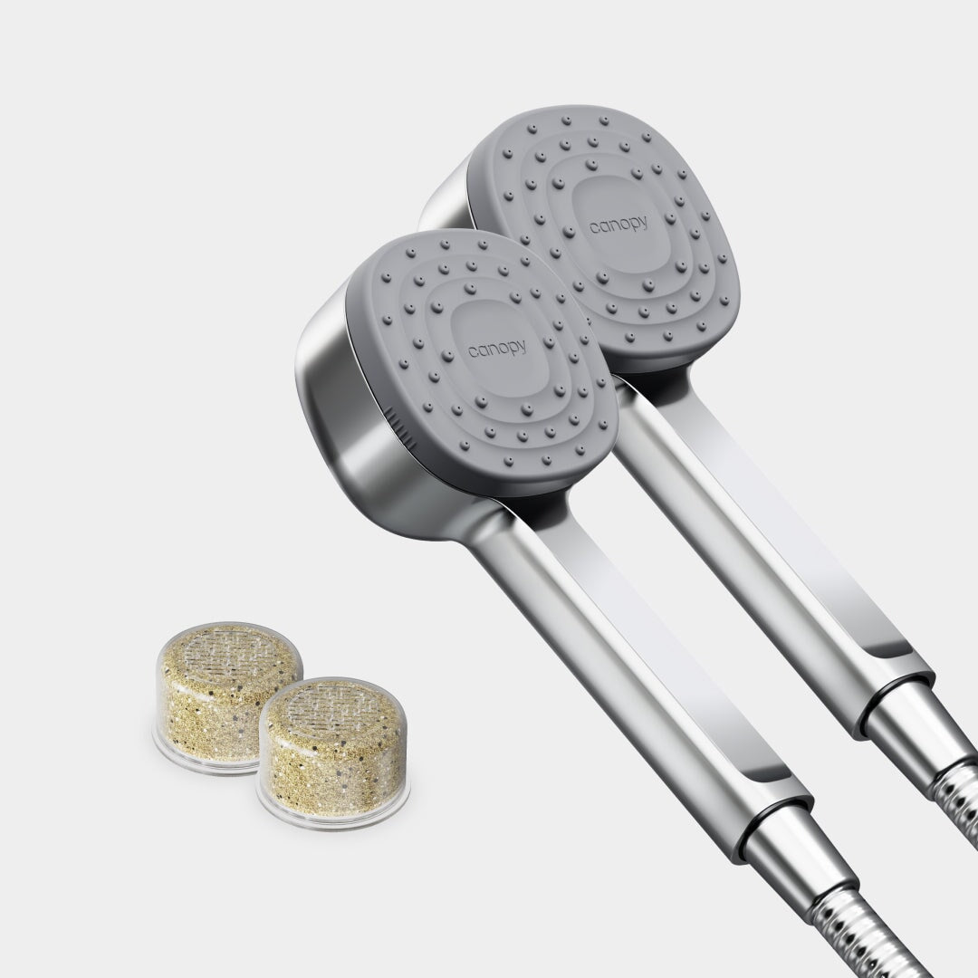 Handheld Showerhead Duo | Polished Chrome