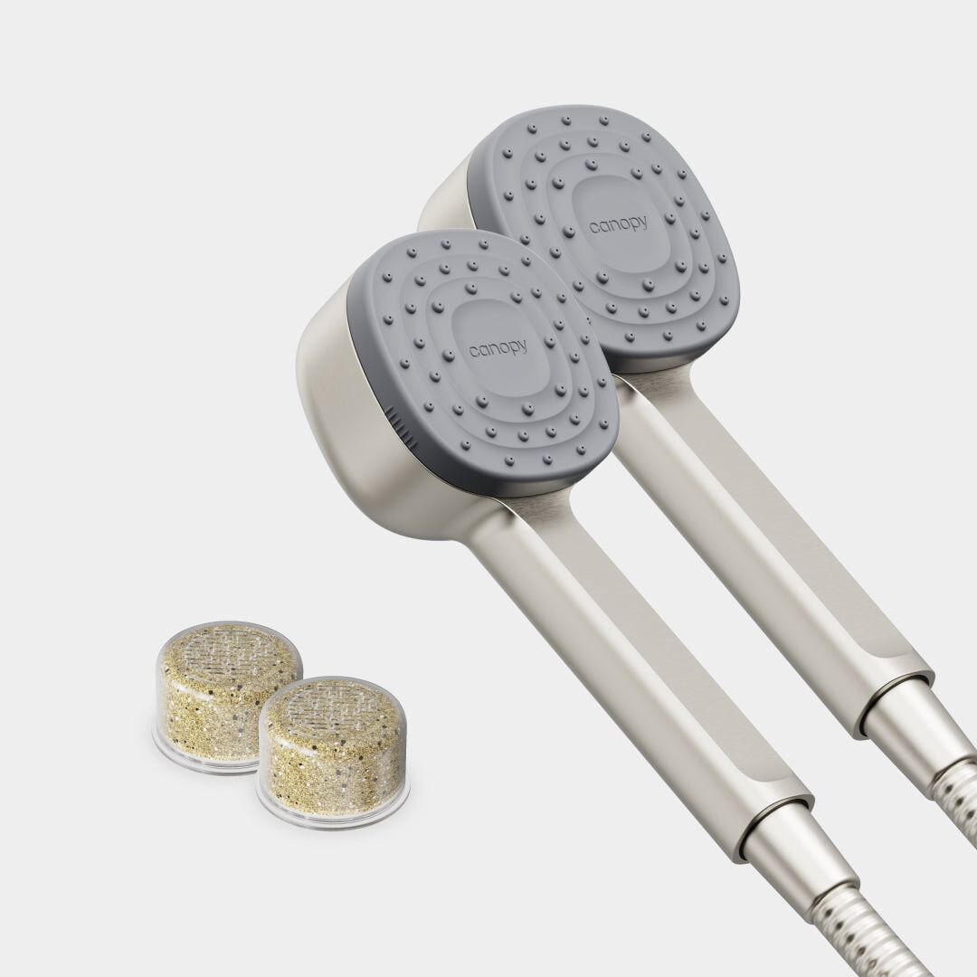 Handheld Showerhead Duo