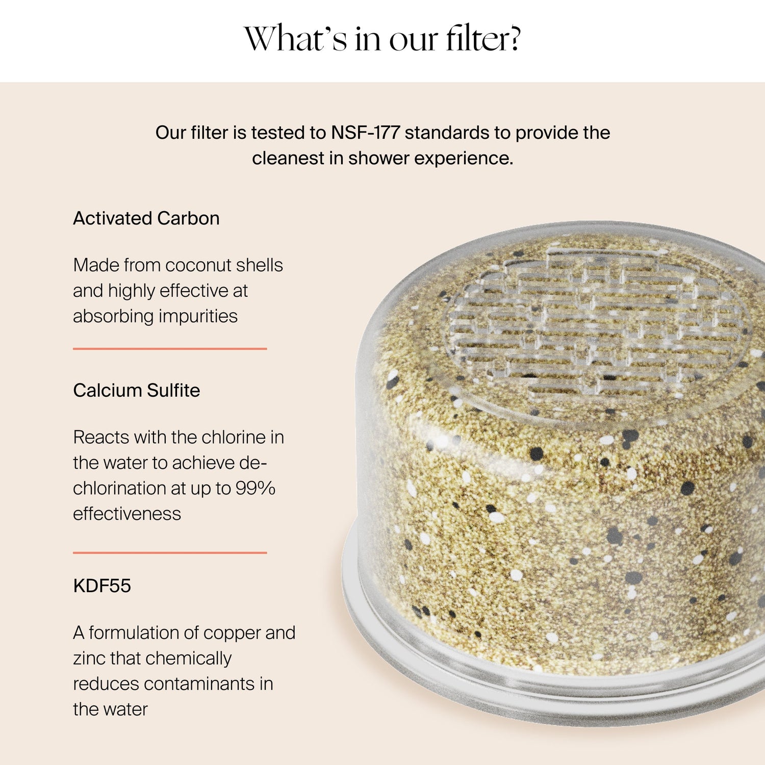 Filtered Showerhead | Lifestyle, What's in our filter?