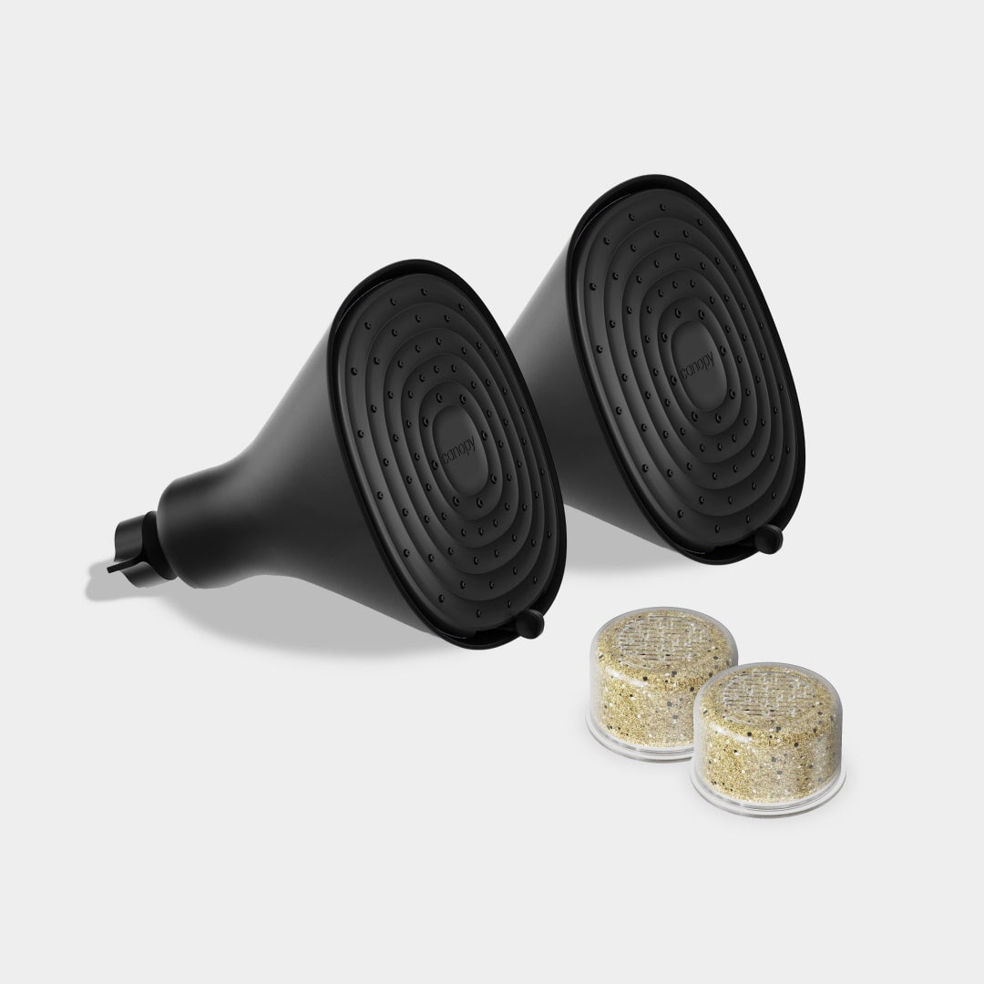 Filtered Showerhead Duo | Matte Black