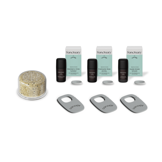 Aroma Kit + Showerhead Filter Subscription featuring three Sanctuary aroma pods with mint-colored boxes, silver filter attachments, and a crystal-filled mineral chamber for enhanced shower filtration and aromatherapy experience