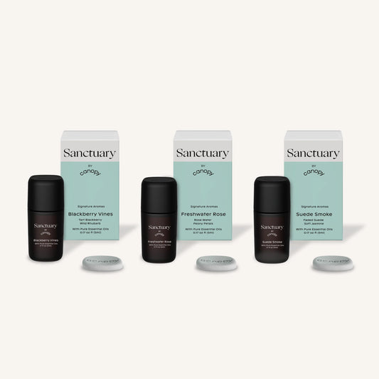 Portable Aroma Subscription featuring three elegant black diffuser bottles with mint-colored packaging boxes, including Blackberry Vines, Freshwater Rose, and Subtle Smoke fragrances. Each set includes a matching aroma stone for long-lasting scent diffusion by Canopy.