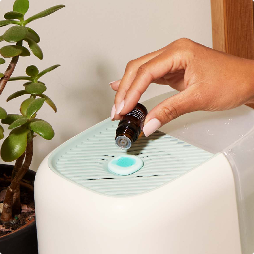 Thumbnail #2 Adding Essential Oil to Humidifier