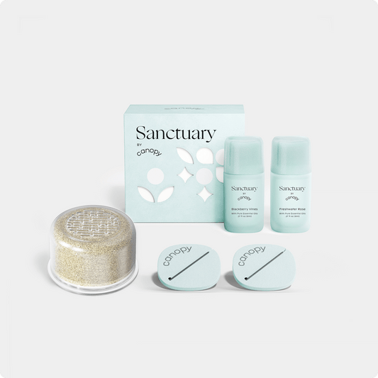 Showerhead Device Filter & Aroma featuring three mineral filter cartridges with gray metal holders, aromatherapy capsules, and a clear container filled with mineral beads for enhanced shower filtration and aromatherapy experience - by Canopy