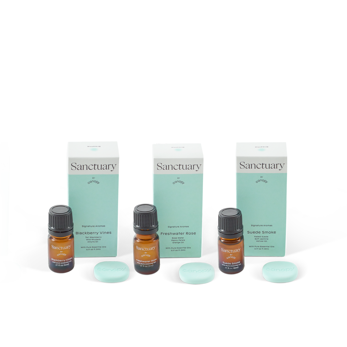 Diffuser Aroma + Well Subscription set featuring three essential oil bottles with amber glass and black caps, paired with mint green ceramic diffusion stones, displayed alongside matching Sanctuary-branded packaging by Canopy.