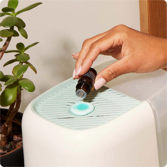 Bedside Humidifier Filter & Aroma
