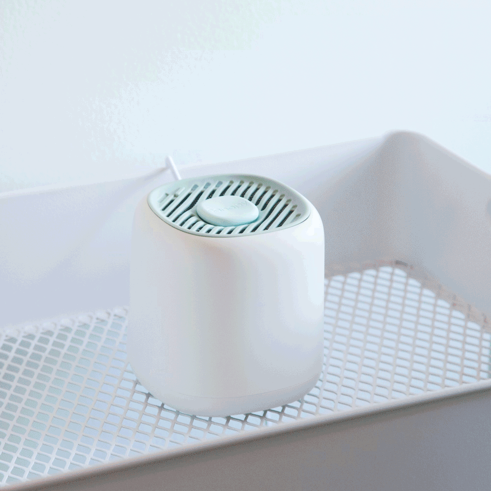 Diffuser Aroma + Well Subscription: Modern white cylindrical diffuser with mint green top vent, placed on metallic mesh surface, featuring clean minimalist design and ceramic accessories for natural aromatherapy experience - by Canopy