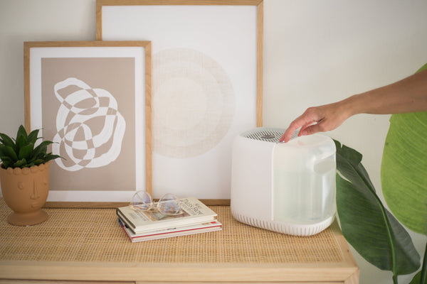 Canopy Humidifier on Table Being Turned On