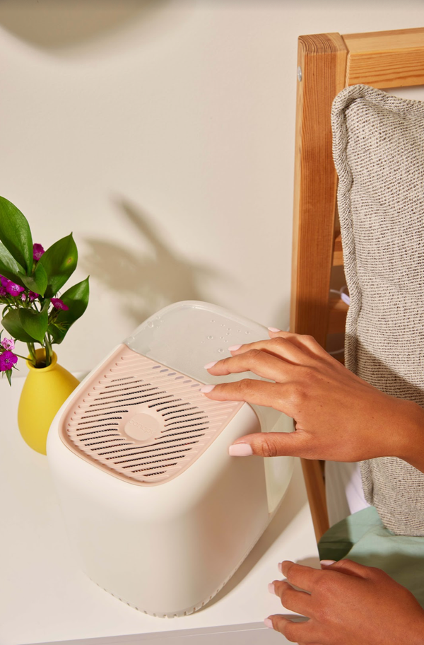 What Exactly is a Humidifier Used For?