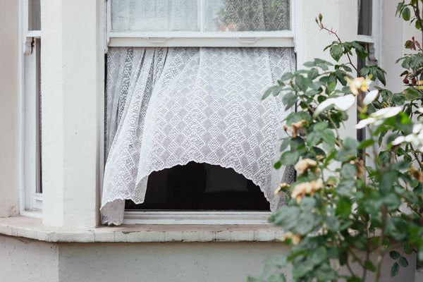 Remove Musty Smells