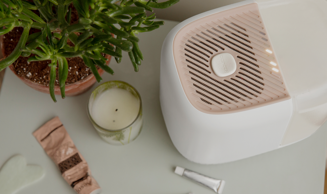Canopy Humidifier and Essential Oils Setup
