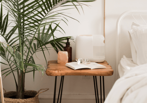 Book Station Setup with Canopy Humidifier