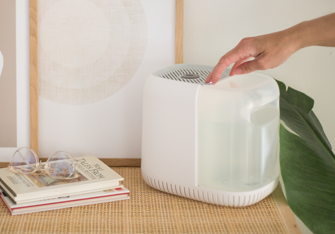 What type of discount humidifier is best