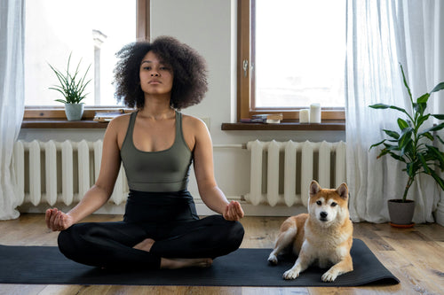 Woman meditating at home with dog