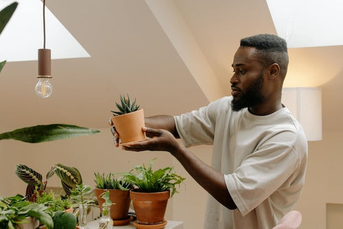 Young man tending to potted house plants