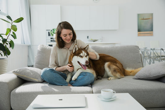 Woman and large dog relaxing on couch in clean apartment