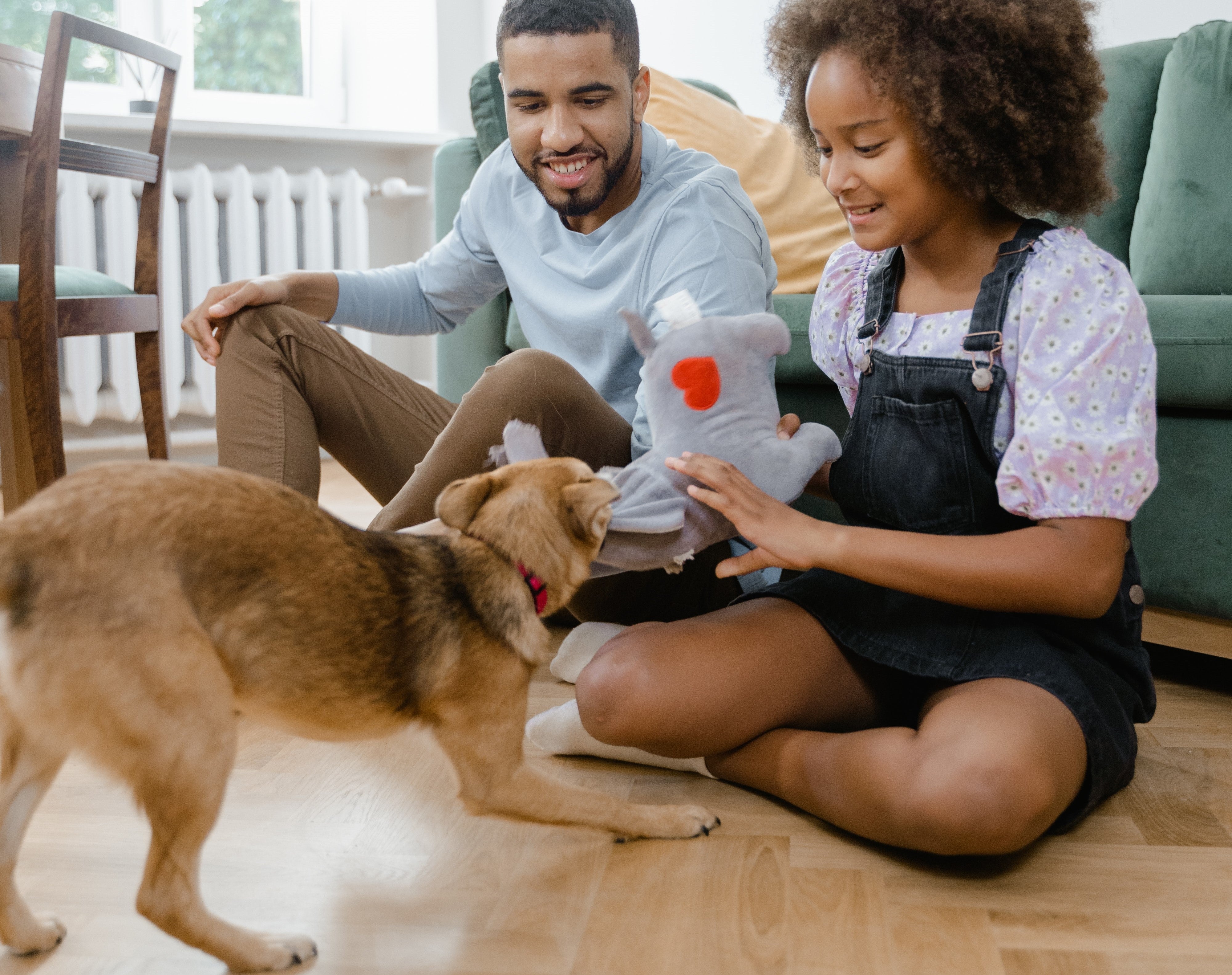 Do I Need a Humidifier With a Steam Radiator? | Humidifier for Radiator