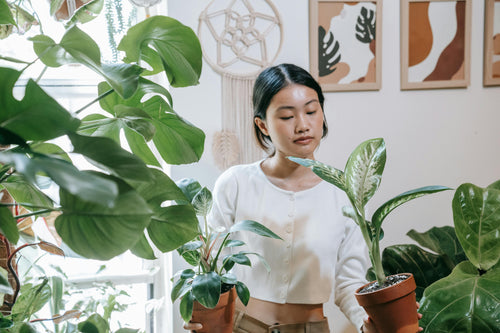 Young woman tending to large houseplants in apartment with plant-themed artwork in the background