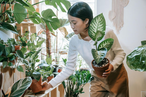 Young woman tending to room full of potted houseplants