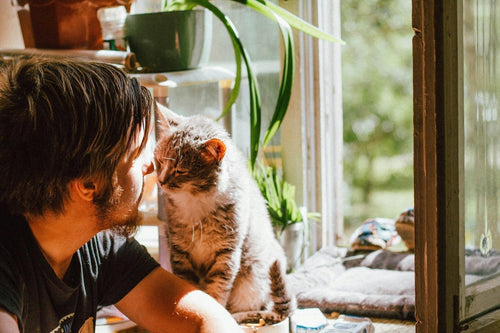 Man with tabby cat near open window and house plants