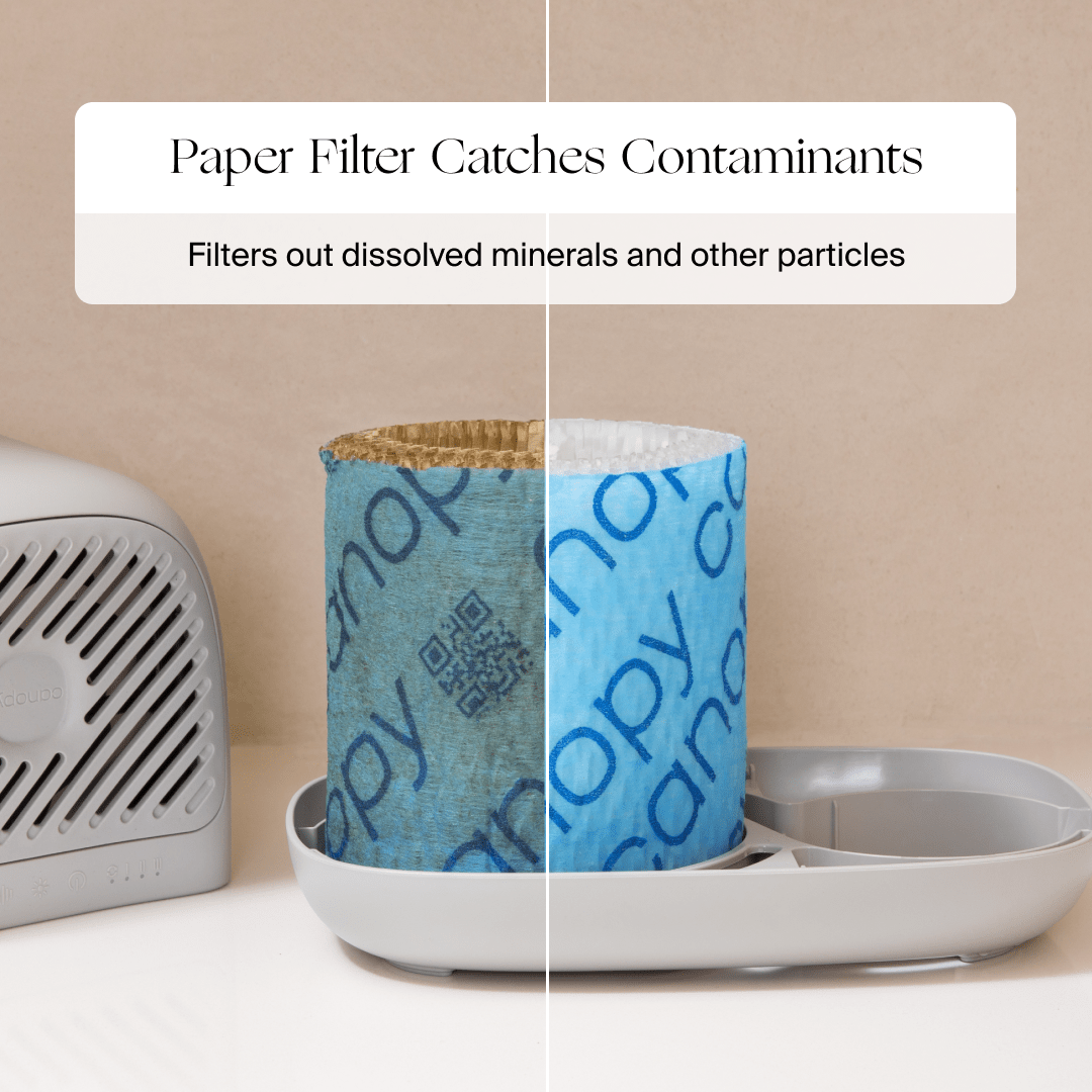 Bedside Humidifier 2.0 | Lifestyle, paper filter catches contaminants