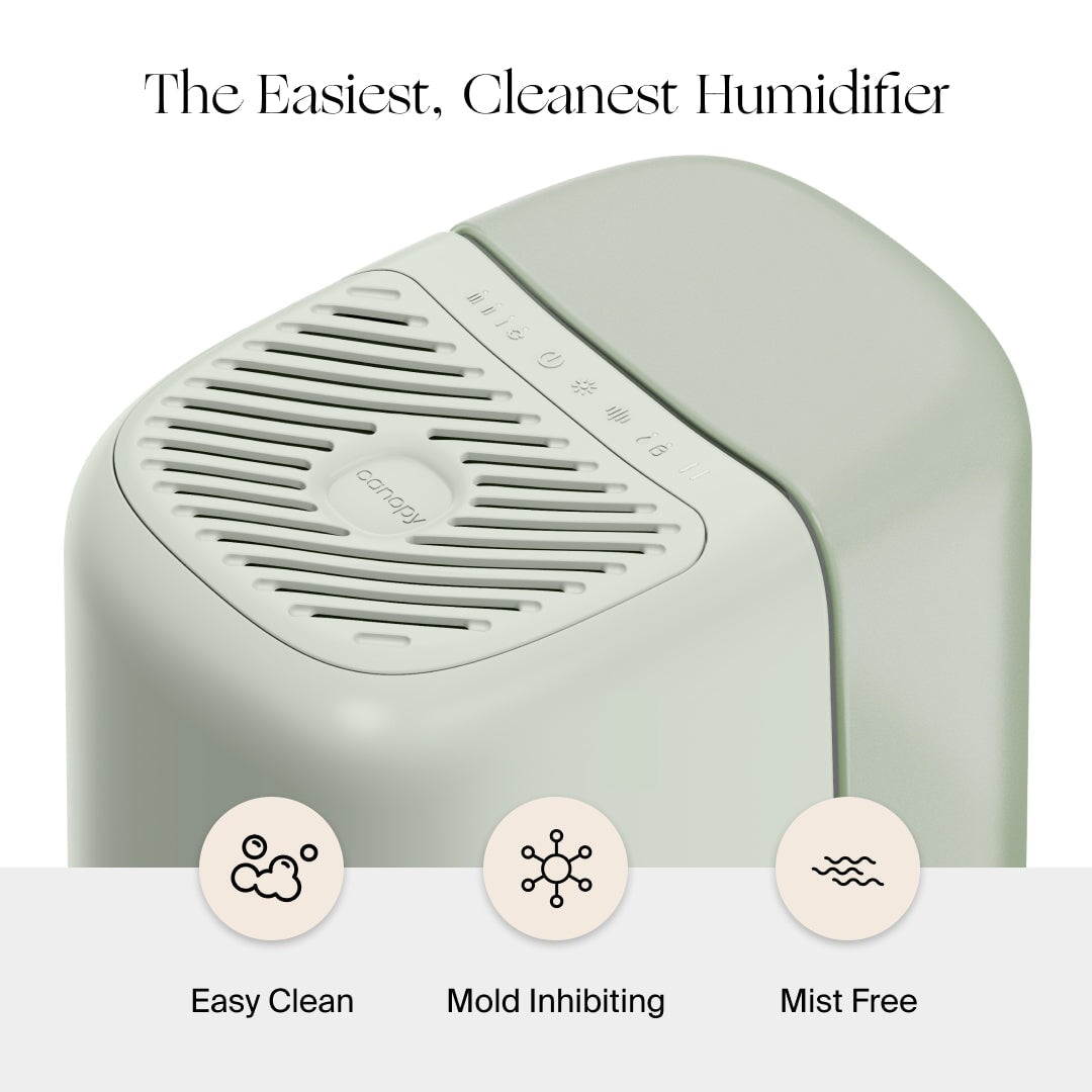 Bedside Humidifier 2.0 | Lifestyle, the easiest, cleanest humidifier