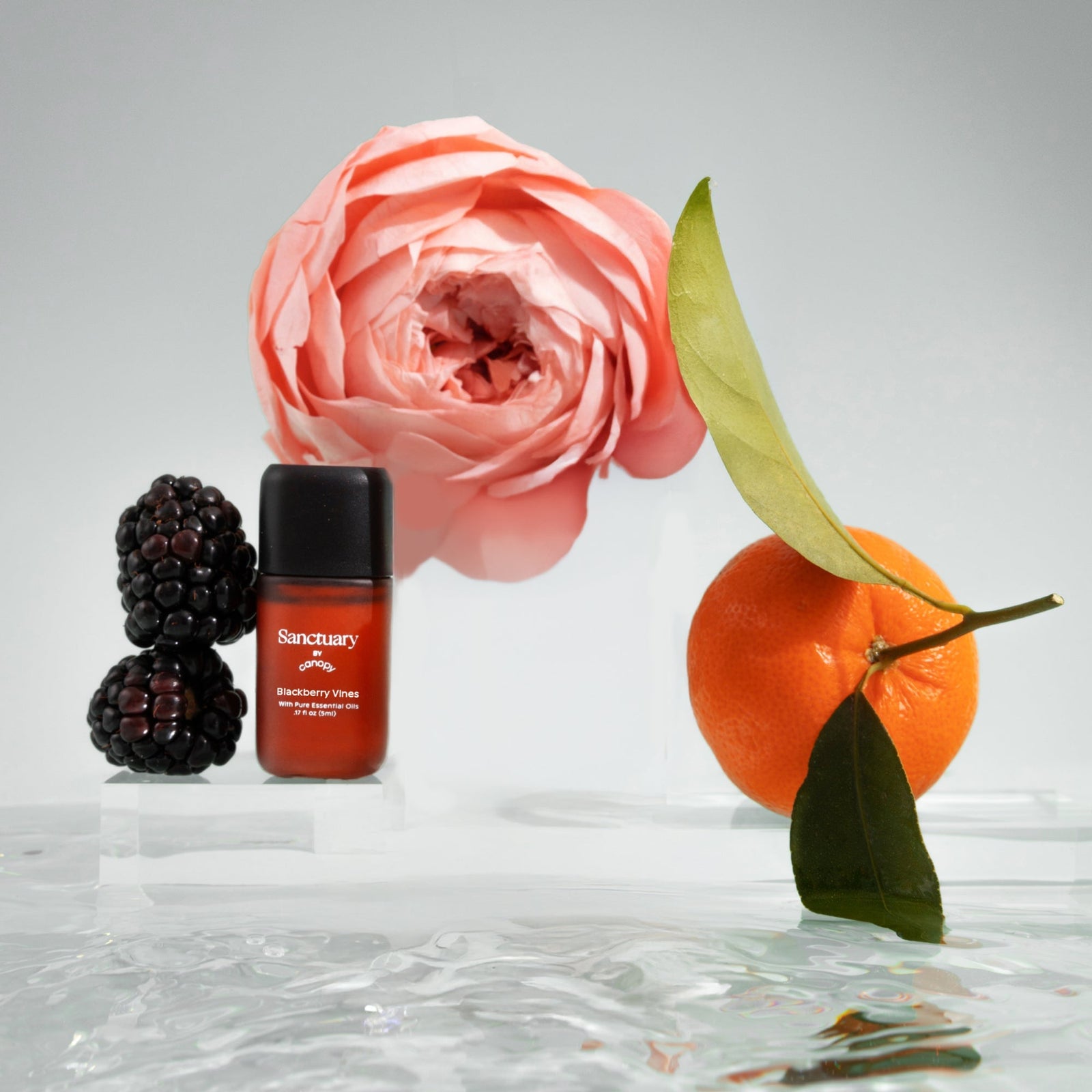 Blackberry Vines Aroma | Lifestyle, Aroma Bottle pictured with a pink rose, blackberries, and an orange on a light gray background
