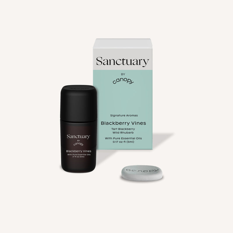 Blackberry Vines Aroma | For Humidifier (with Aroma Stones)