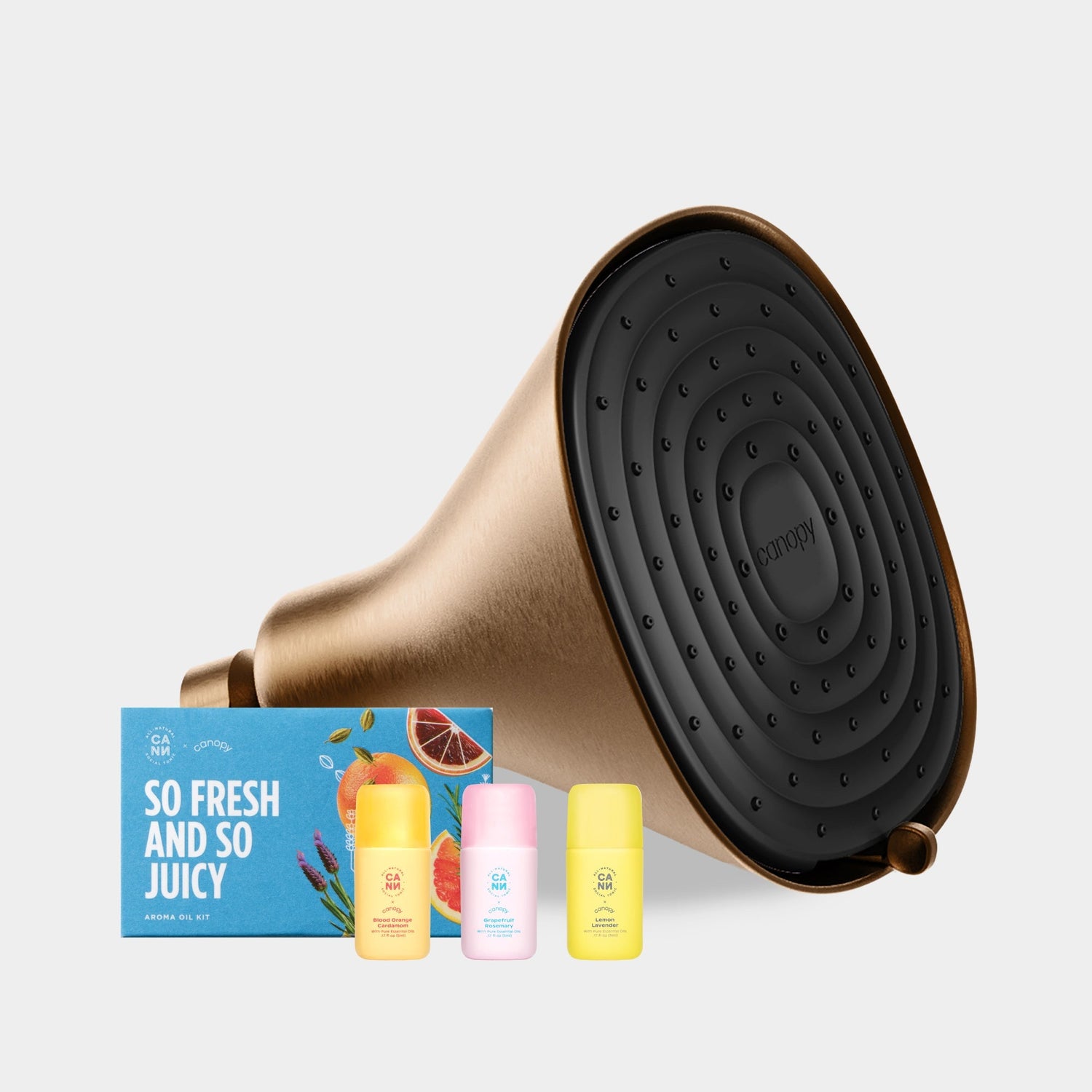 Cann Filtered Showerhead Set | Brass