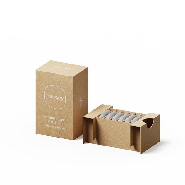 Aroma Stone 6-Pack displayed in eco-friendly kraft paper packaging, featuring a minimalist box design with six grey stone diffusers neatly arranged in a row, complete with Canopy branding and product information