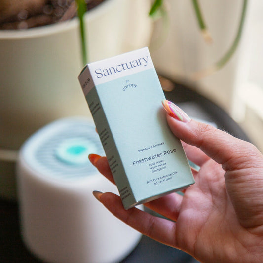 Diffusion Well & Aroma Kit featuring Sanctuary Freshwater Rose essential oil box displayed alongside a sleek white diffuser with soft blue glow, perfect for creating a calming aromatherapy experience - by Canopy