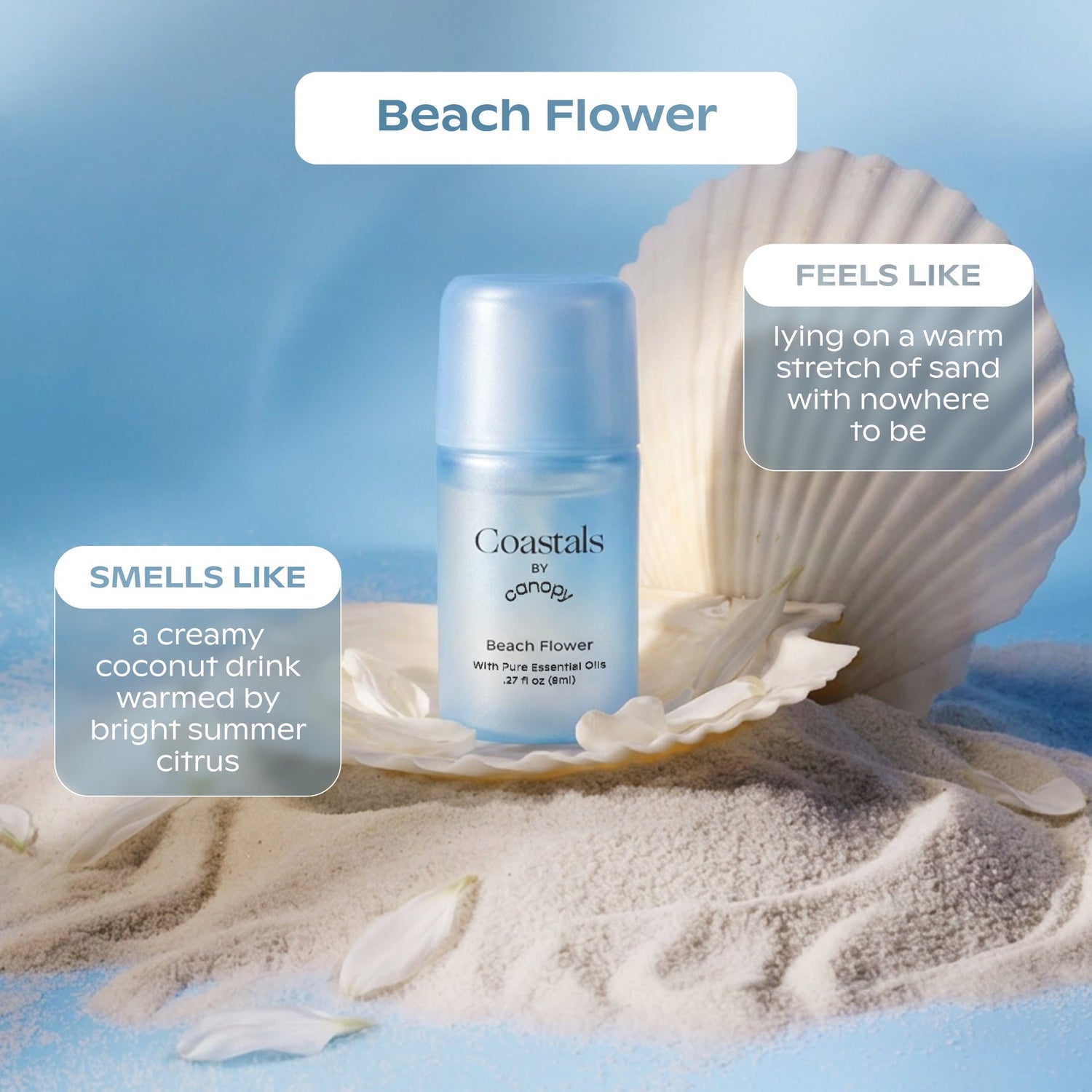 Coastals Aroma Kit 