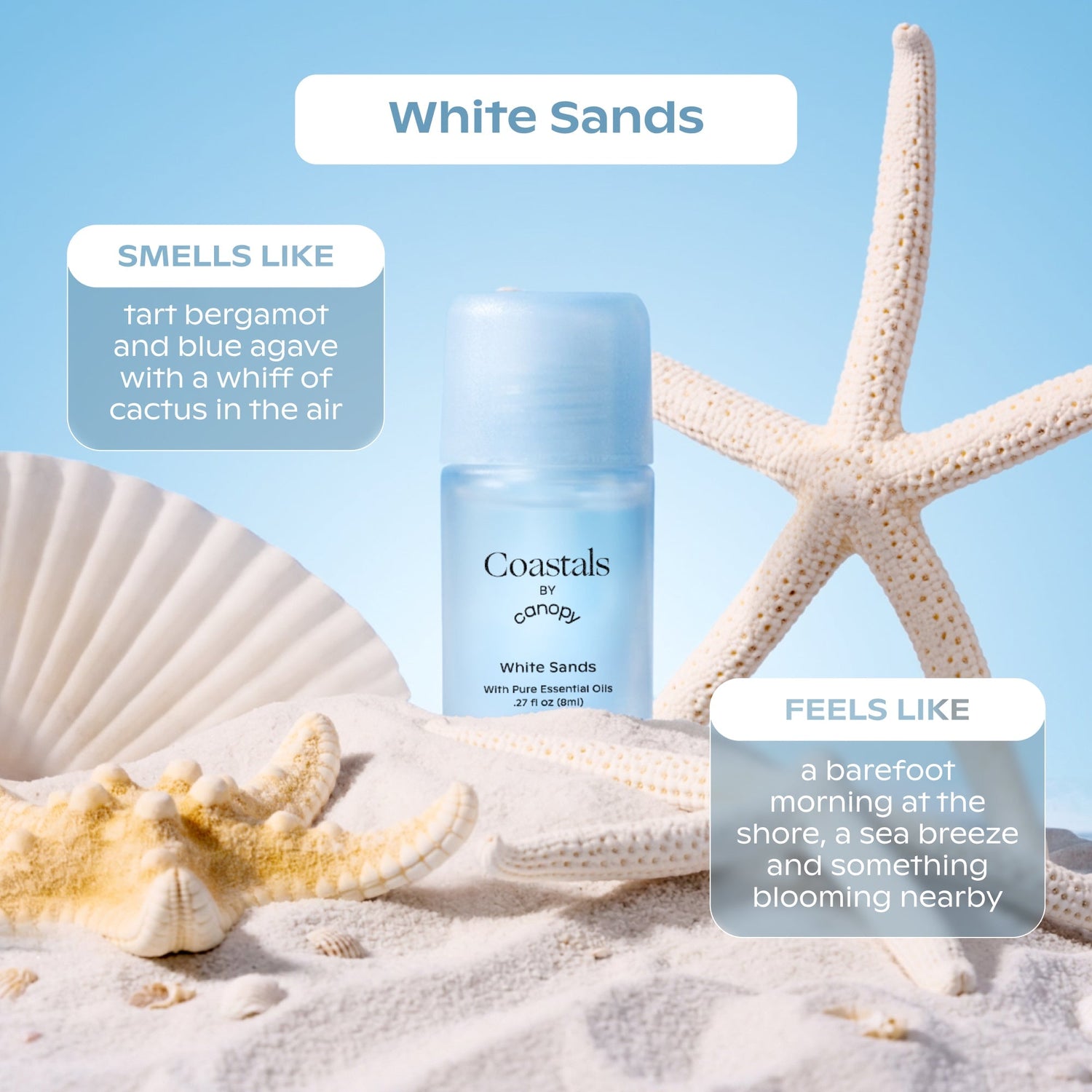 Coastals Aroma Kit 