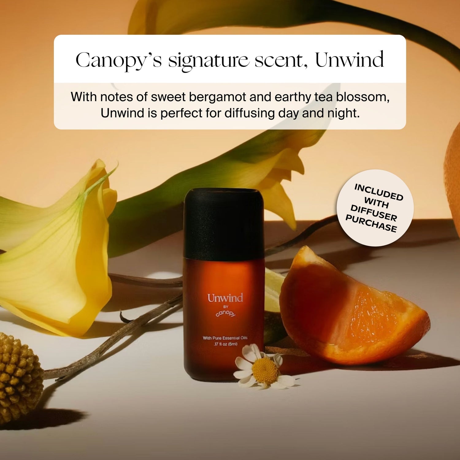 Aroma Diffuser | Lifestyle, Unwind aroma 