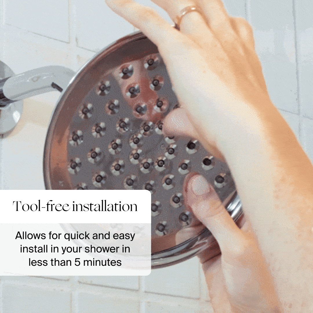 Mini Filtered Showerhead 