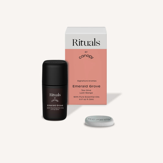  For Humidifier (with Aroma Stones)