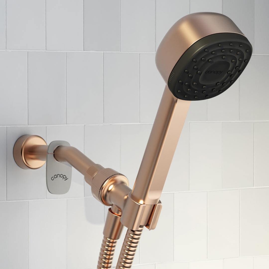 Handheld Filtered Showered | Brass