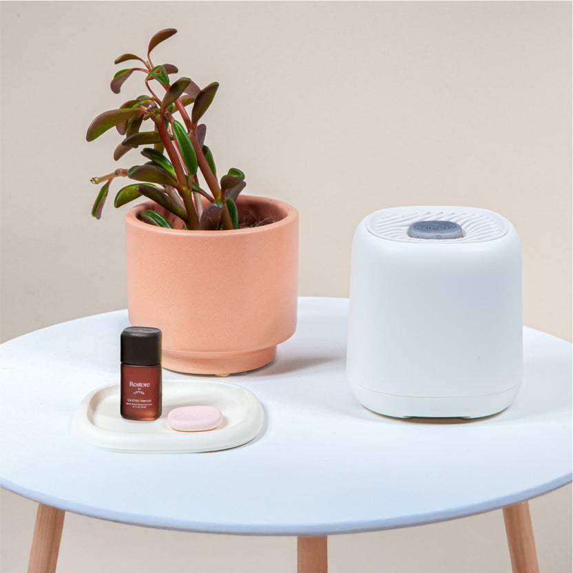 Diffuser Canopy Diffusion Well 3-Pack for the Canopy Diffuser | Diffuser Accessories
