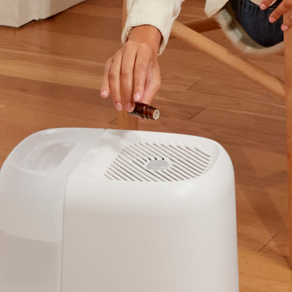 Aroma Stone 3-Pack being used with a white humidifier device, showing a hand adding essential oil drops onto the device's surface on a wooden floor, demonstrating the aromatherapy application process