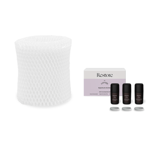  Large Room Restore Aroma Kit + Filter (V1)