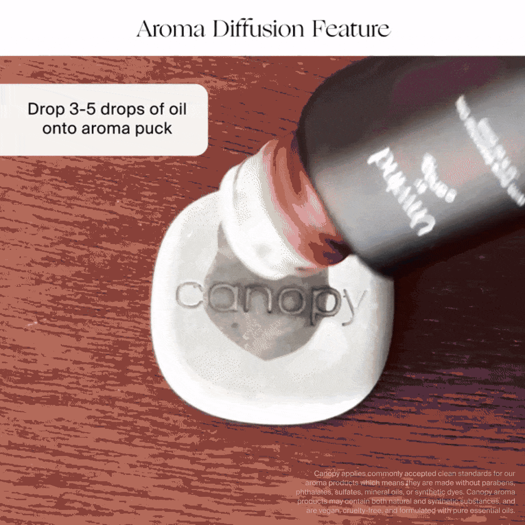 Being Frenshe Portable Humidifier Set 