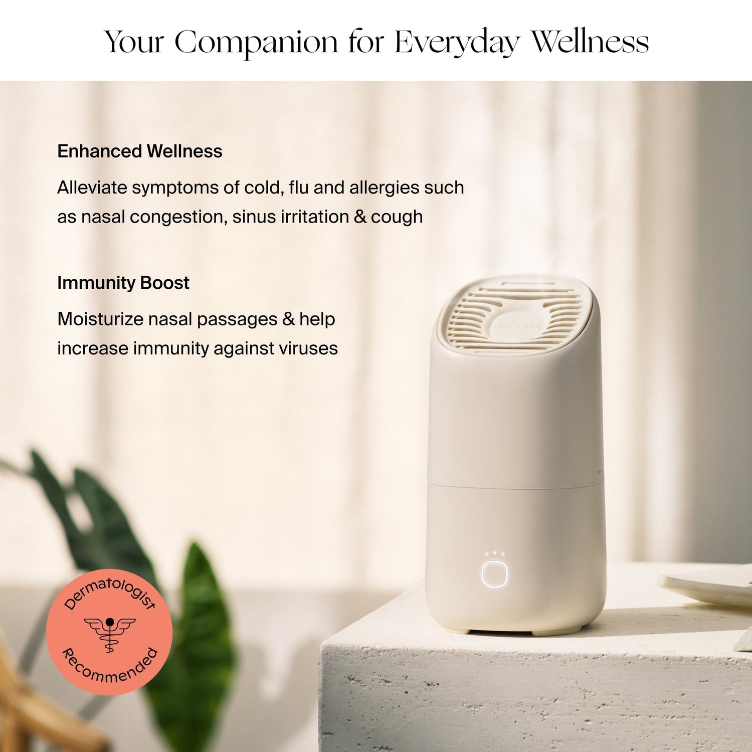 Portable Humidifier Duo | Lifestyle, Your Companion for Everyday Wellness