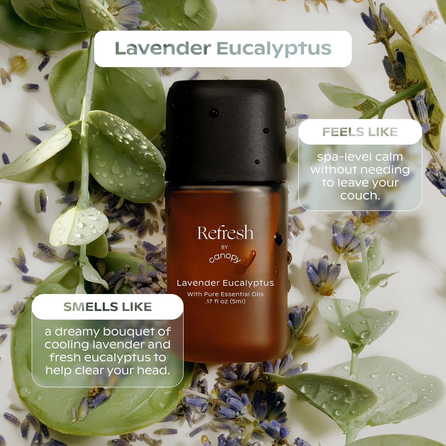 Refresh Aroma Kit | Lifestyle, Lavender Eucalyptus smells lilke a dreamy bouquet of cooling lavender and fresh eucalyptus to help clear your head. feels like spa-level calm without needing to leave your couch.