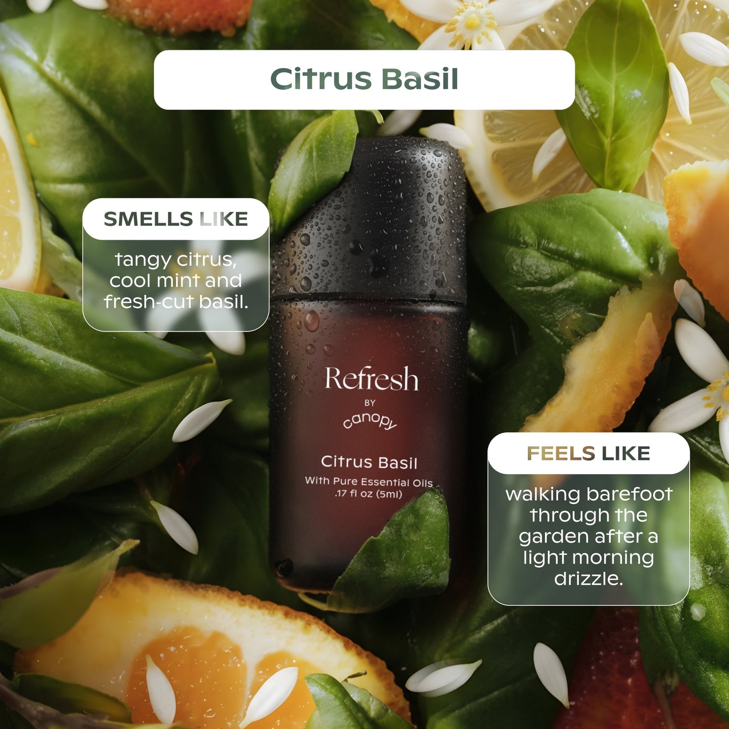 Refresh Aroma Kit | Lifestyle, Citrus Basil smells lilke tangy citrus, cool mint and fresh‑cut basil. feels like walking barefoot through the garden after a light morning drizzle.
