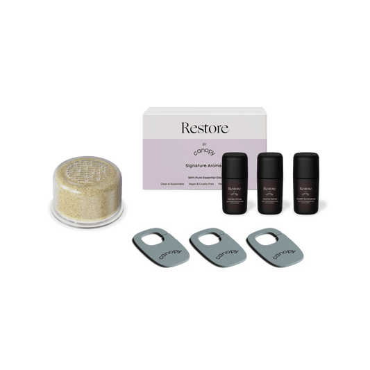 Showerhead Sub Restore Aroma Kit featuring a golden filter capsule, three black signature aroma bottles, and three metallic gray shower attachments for an enhanced aromatherapy shower experience - Showerhead Sub Restore Aroma Kit + Filter by Canopy