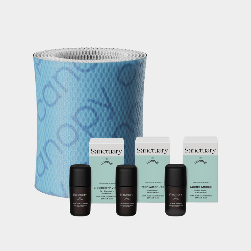 Bedside Humidifier Device Filter 2.0 & Aroma set featuring a blue textured filter roll alongside three Sanctuary aromatherapy bottles with mint-colored packaging boxes, arranged against a white background for optimal air purification and fragrance diffusion